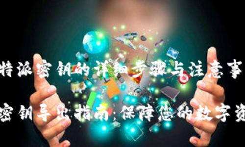 导出比特派密钥的详细步骤与注意事项

比特派密钥导出指南：保障您的数字资产安全