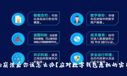 Bitpie崩溃后你该怎么办？应对数字钱包危机的实用指南