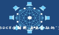 央行数字货币（CBDC）全解析：未来金融的“蓝海