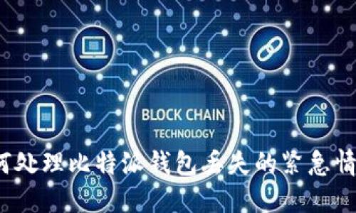 如何处理比特派钱包丢失的紧急情况？