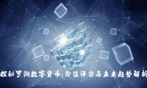 探秘罗湖数字货币：价值评估与未来趋势解析