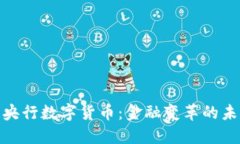 探索国央行数字货币：金融变革的未来之路