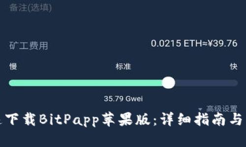 如何快速下载BitPapp苹果版：详细指南与实用技巧