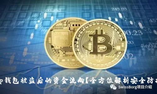 如何查看Bitp钱包被盗后的资金流向？全方位解析安全防护与追踪方法