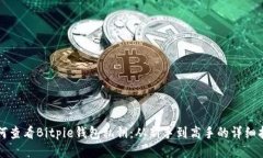如何查看Bitpie钱包私钥：从新手到高手的详细指