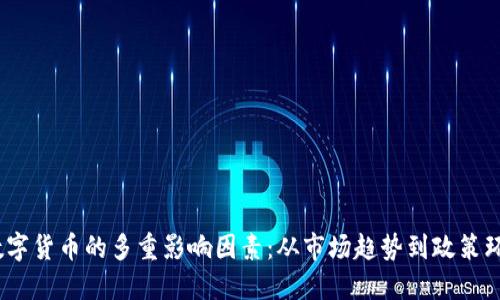  数字货币的多重影响因素：从市场趋势到政策环境