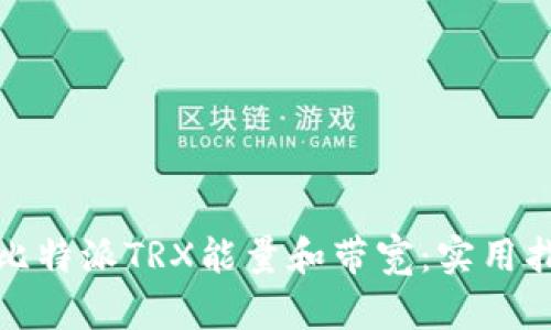 如何获取比特派TRX能量和带宽：实用指南与技巧