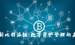 深入解析比特派链：数字资产管理的未来之路