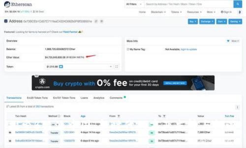 探索B特派中国：新时代的商业先锋与机遇