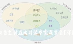 如何通过微信支付在比特派中完成交易？详细步