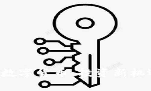 探索B级以上数字货币：投资新机遇与风险分析