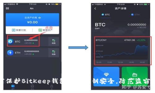如何保护BitKeep钱包中的私钥安全，防范盗窃风险