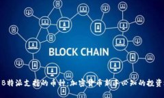 探索B特派支持的币种：加密货币新手必知的投资