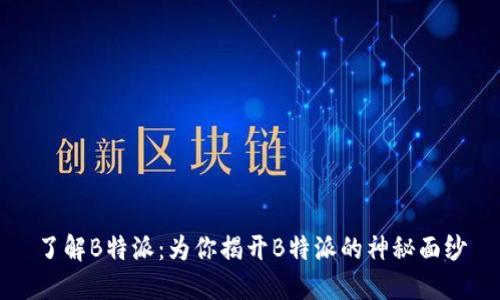 了解B特派：为你揭开B特派的神秘面纱