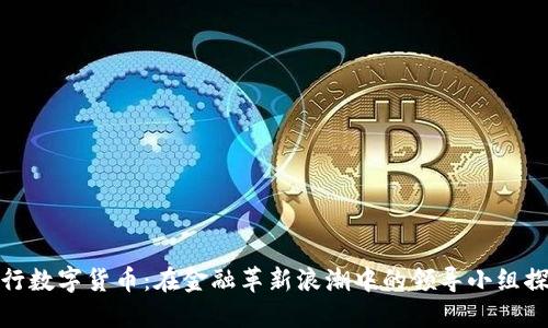 央行数字货币：在金融革新浪潮中的领导小组探秘