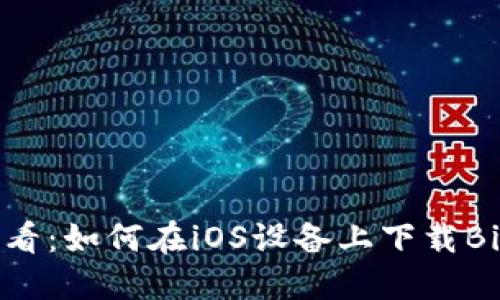 手机用户必看：如何在iOS设备上下载BitP官网APP？