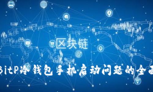 解决BitP冷钱包手机启动问题的全面指南