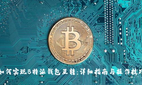 如何实现B特派钱包互转：详细指南与操作技巧