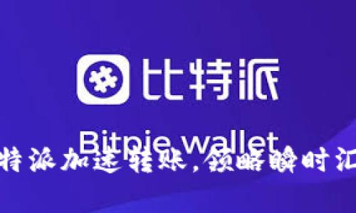 突破界限！B特派加速转账，领略瞬时汇款的新时代