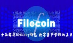 全面解析BitKeep钱包：数字资产管理的未来