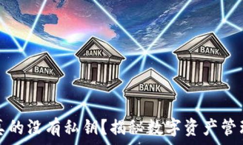   
比特派真的没有私钥？揭秘数字资产管理的真相