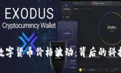 郎咸平解析数字货币价格波动：背后的科技与经