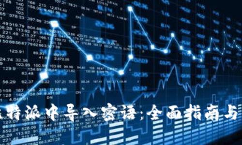 如何在比特派中导入密语：全面指南与实用技巧