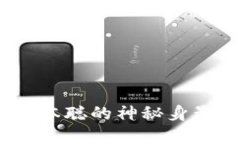 探索数字货币的先驱：中本聪的神秘身影与未来