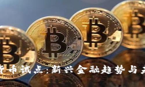 探索龙华数字货币试点：新兴金融趋势与未来的数字经济