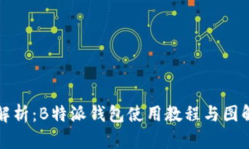 全面解析：B特派钱包使用教程与图解详解