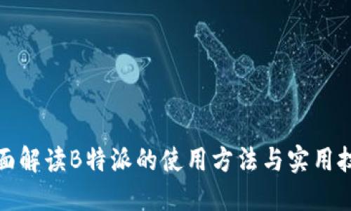 全面解读B特派的使用方法与实用技巧
