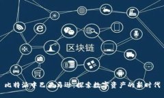 比特派中巴亚马逊：探索数字资产的新时代