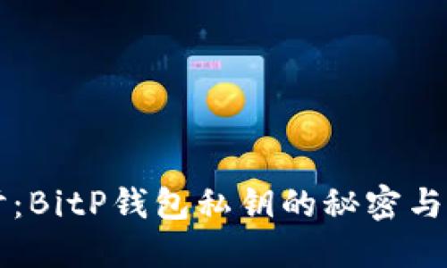 深入探讨：BitP钱包私钥的秘密与安全指南