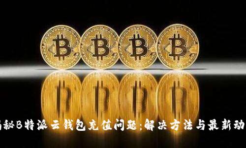 揭秘B特派云钱包充值问题：解决方法与最新动态