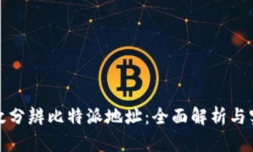 如何有效分辨比特派地址：全面解析与实用技巧