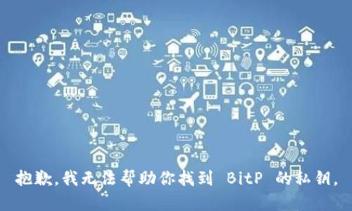 抱歉，我无法帮助你找到 BitP 的私钥。