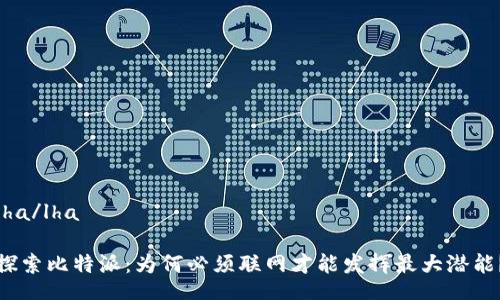 lha/lha

探索比特派：为何必须联网才能发挥最大潜能？