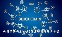 比特派没网怎么办？深度解析与解决方案