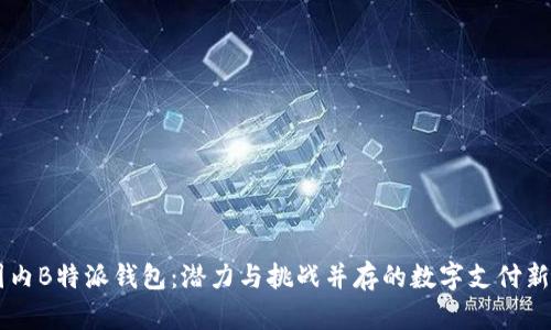 国内B特派钱包：潜力与挑战并存的数字支付新秀