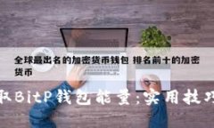 如何获取BitP钱包能量：实用技巧与策略