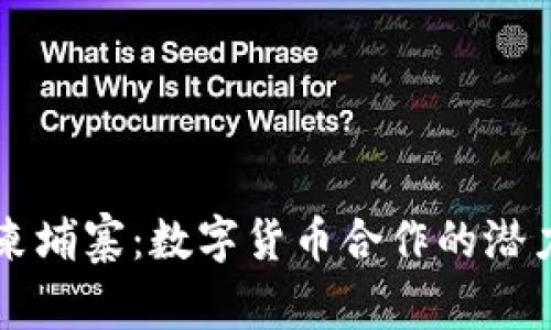 美国与柬埔寨：数字货币合作的潜力与挑战