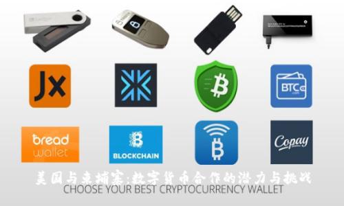 美国与柬埔寨：数字货币合作的潜力与挑战