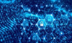   所罗门数字货币估值的深度解析与未来展望