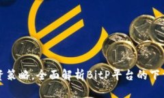 提升投资策略，全面解析BitP平台的下载与使用