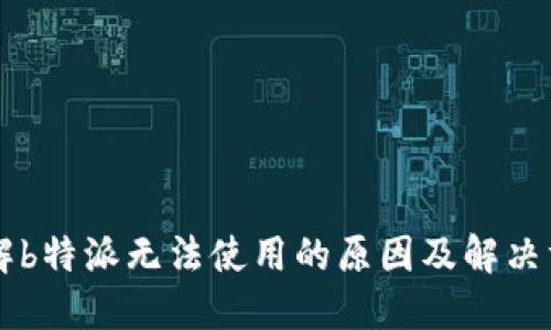 了解b特派无法使用的原因及解决方案