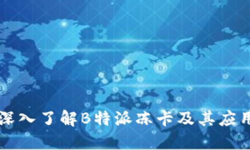 深入了解B特派冻卡及其应用