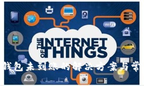 转入B特派钱包未到账的解决方案与常见问题分析