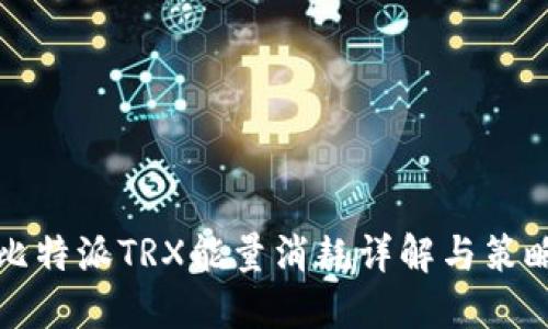 比特派TRX能量消耗详解与策略