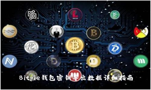 Bitpie钱包密钥导出数据详细指南