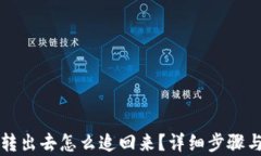 比特派被转出去怎么追回来？详细步骤与案例分